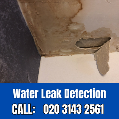 Expert Water Leak Detection Services in Hounslow West | Hounslow West Leak Detection